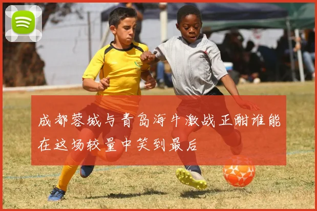 成都蓉城与青岛海牛激战正酣谁能在这场较量中笑到最后