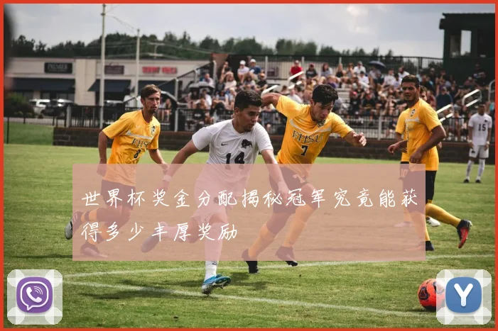 世界杯奖金分配揭秘冠军究竟能获得多少丰厚奖励