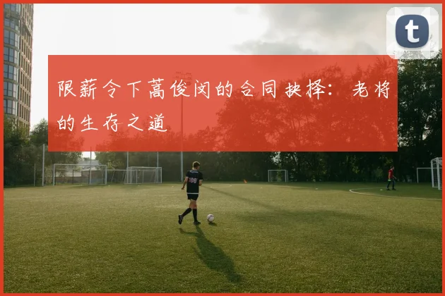 限薪令下蒿俊闵的合同抉择：老将的生存之道