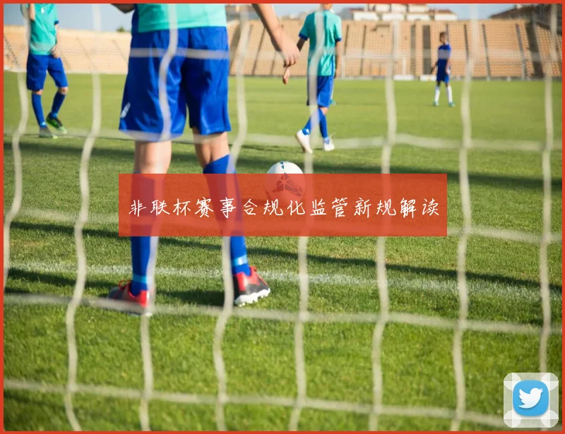 非联杯赛事合规化监管新规解读