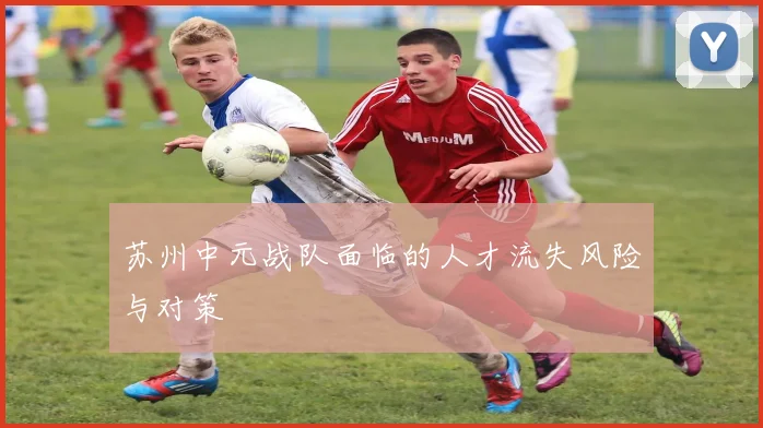 苏州中元战队面临的人才流失风险与对策